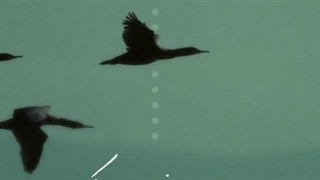 مارو از خودت دور نکن؛