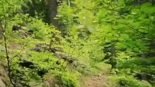 سیزده بدر مبارک =)