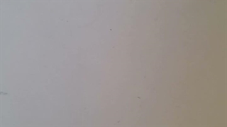 خ بریم سراغ خوردن گوشت تازه اولین شکارمه  ) خنده)