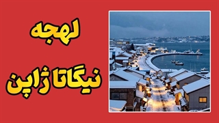 لهجه نیگاتا در مشت شما! سریع، کاربردی، حرفه‌ای