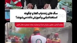 سگ های زنده‌یاب کجا و چگونه استعدادیابی و آموزش داده می‌شوند؟