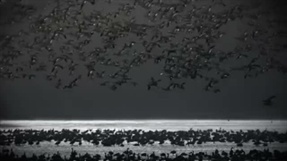 Within Temptation - In Vain (Official Lyric Video)