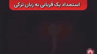 این صدای استمداد یک قربانی است.