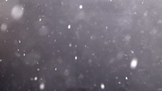 DRACONIAN - Rivers Between Us (Lyric Video)
