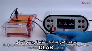 پاور ساپلای الکتروفورز DLAB - شرکت راهیان نلم آزما