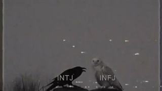 Infj+intj