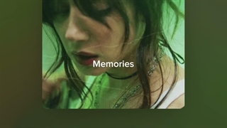 ᴾᵗ² digital diary