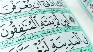 ترنم | المُرجِفونَ فِی المَدینَه