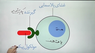 زیست یازدهم فصل 4 گفتار 1