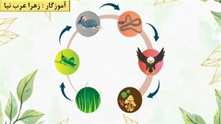 مطالعات اجتماعی چهارم ابتدایی