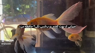 کپ مهم