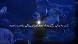 شبتون به زیبایی جنیییی