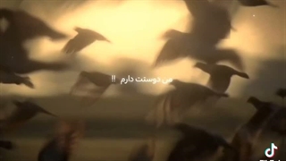 رومئو و ژولیت کپ