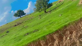جایی به این قشنگی دیدین؟•_•