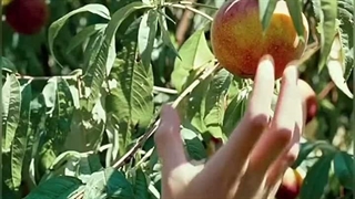 Call me by your name