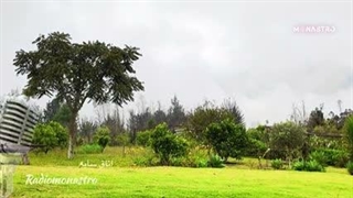 اعتیاد به کنترل  ـ رادیو‌موناسترو