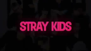 :(((All we need is love, dreams & STRAYKIDS