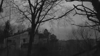 Draconian - A scenery of Loss