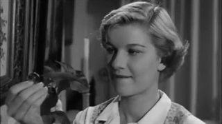 فیلم سینمائی "وحشت در خیابانها" محصول سال 1950