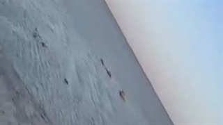 قایق‌سواری در دریاچه هامون پس از سال ۹۳؛ هامون پس از ۱۲ سال مجددا پر آب شد