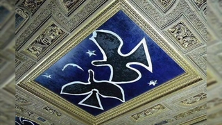 کپ لباس رزی