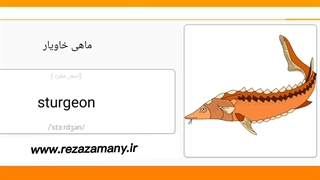 صفر تا صد زبان انگلیسی درس ۱۳۳