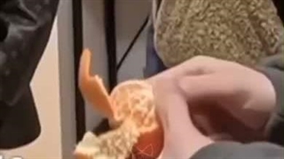 یونگی شوگا