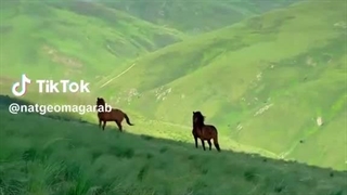 قسمت ۳ داستان (نگاه تو) کپ