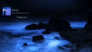 ᗰOOᑎ