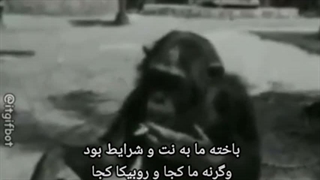 پاشین بیاین