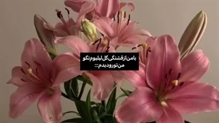با من از قشنگی گل لیلیوم حرف نزن من تورو دیدم>>>