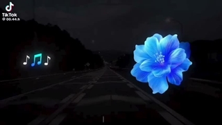 هیچی