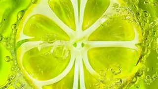 ترک آهنگ SHAKIN از آلبوم Lemonade اسپا