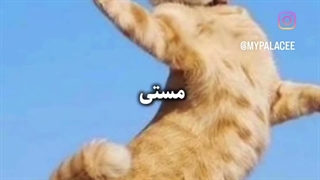 یه دونه می خوام فیلم دان کنم میزنه دو ساعته دیگه -__- ۴ الی ۵ تا ویدئو آپلود نمیشه-_-