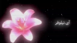 نیلوفر>>>