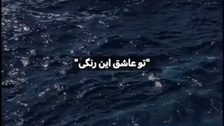 کپ همه لطفاً به سوالاتم جواب بدن