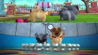 دانلود انیمیشن سریالی هاپوهای ماجراجو Puppy Dog Pals 2017