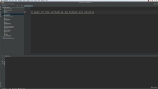 4. Revisiting the types of variables
