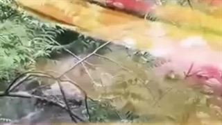 سالن زیبایی هانس تهران