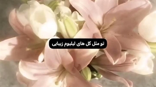 تقدیم به همتون ⁦☆⁩