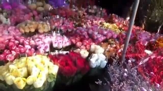 اخه چقد من خوشحالم چقد شما گلین اخه چقد گلین که اردبیلو نزدین دستتون طلا امروز از بقیه روزا راحت خوابیدم بحاح