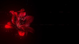 یعنی هیچوقت برای کسی مهم نبودم چون توی درباره هیچکی ثبت نشدم:)