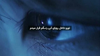 پیشی برمیگرده پیشم دیگه؟:)