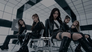 Stray Kids (스트레이 키즈) "거미줄 (Venom)" Girl Group Remix