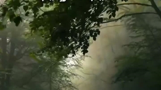 خاورمیانه