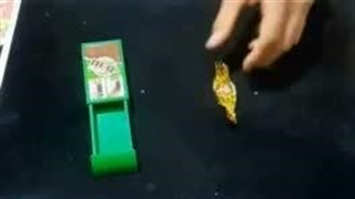 جعبه غیب و ظاهر کننده