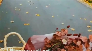 oceans