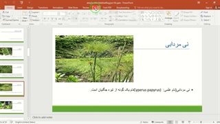 ✔ تحقیق آماده در مورد لیست گونه‌های گیاهان آکواریومی آب شیرین با پاورپوینت