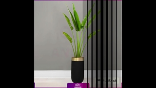 سفارش نخل مسافر آپارتمانی