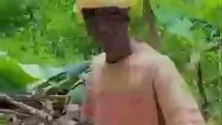 مذاکره به زبان حیوانات
